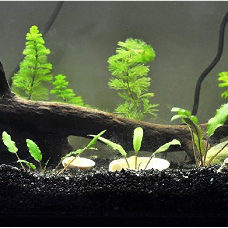 Aquasoil Substrate - 300G Prachtige Aquariumdecoratie-Aquarium Zwarte Bodem Zand-Vetplanten