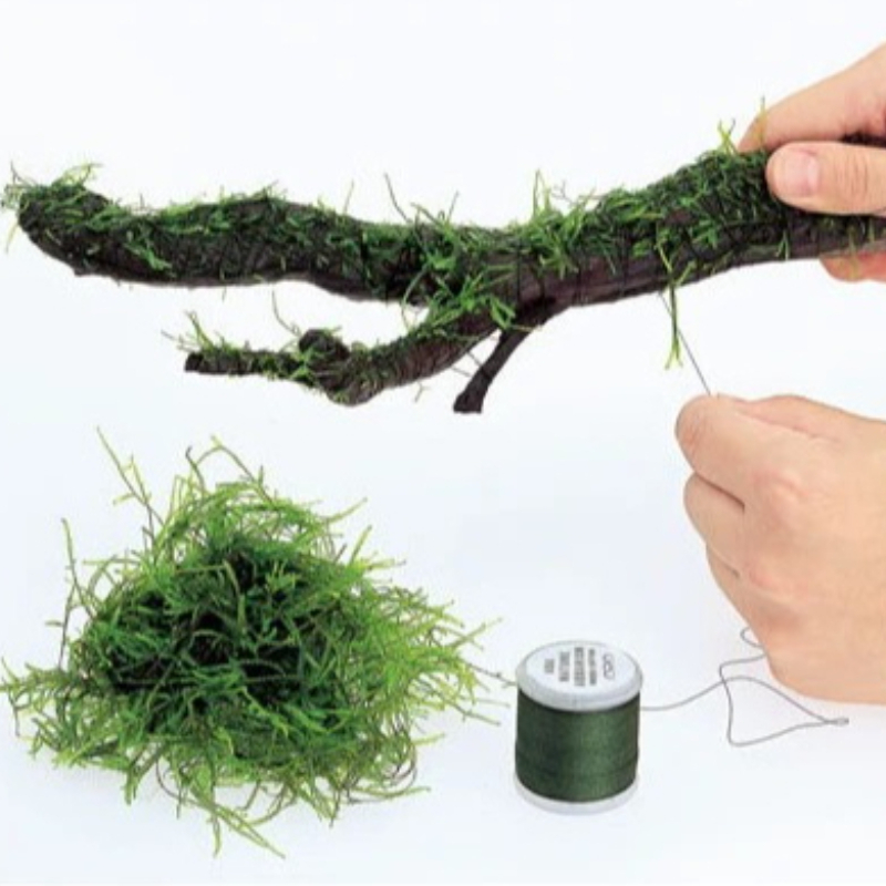 Planted Aquarium With Driftwood - Biologisch afbreekbare aquariummosdraad 200m Aquascaping plantenbinddraad