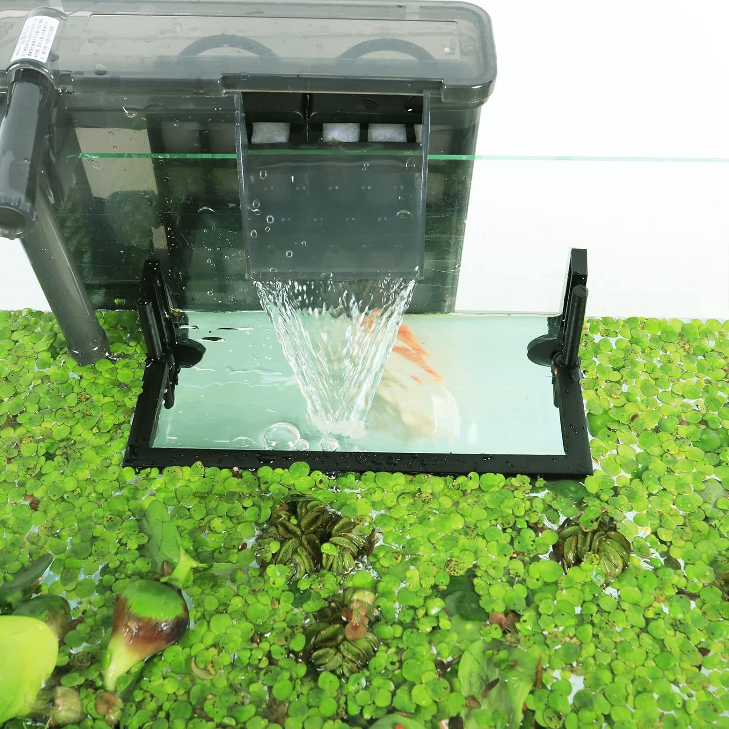 Aquarium Drijvende Plant Corra - Planted Aquarium Heater recensie en prijs