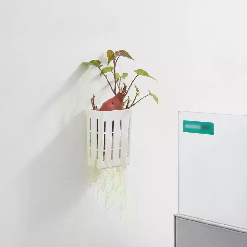 1 Stuks Hydroponische Onderste - Planted Aquarium With Fish recensie en prijs