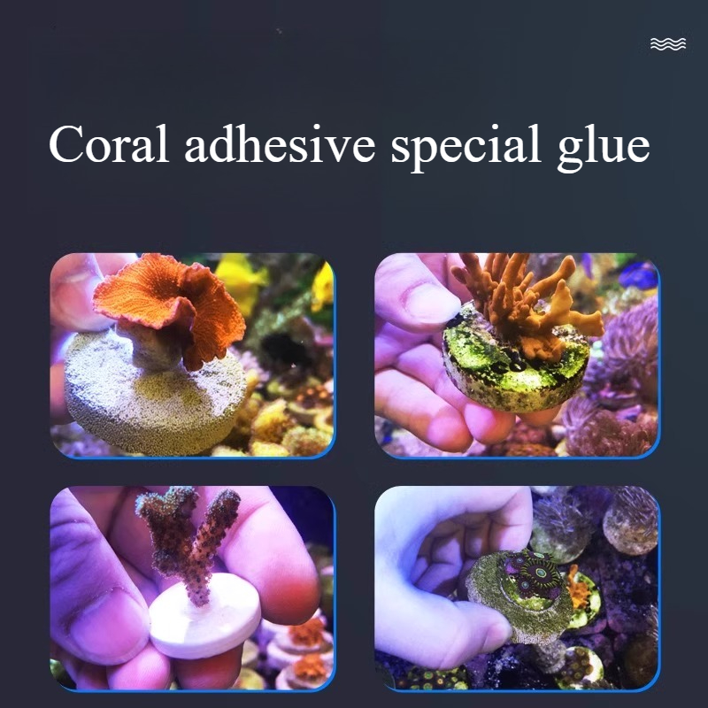 SPS LPS Coral Reef Frags Plug  - Aquarium Plant Glue Gel recensie en prijs
