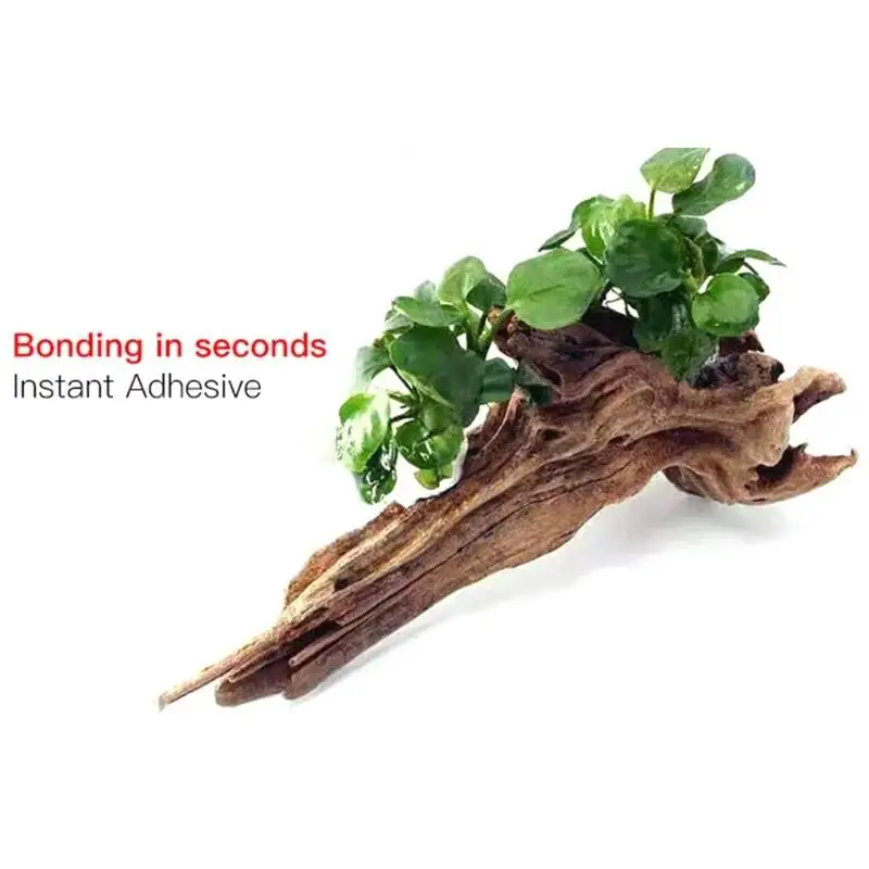 2PCS 5PCS /3/ Moss Clear Glues - Planted Aquarium With Fish recensie en prijs
