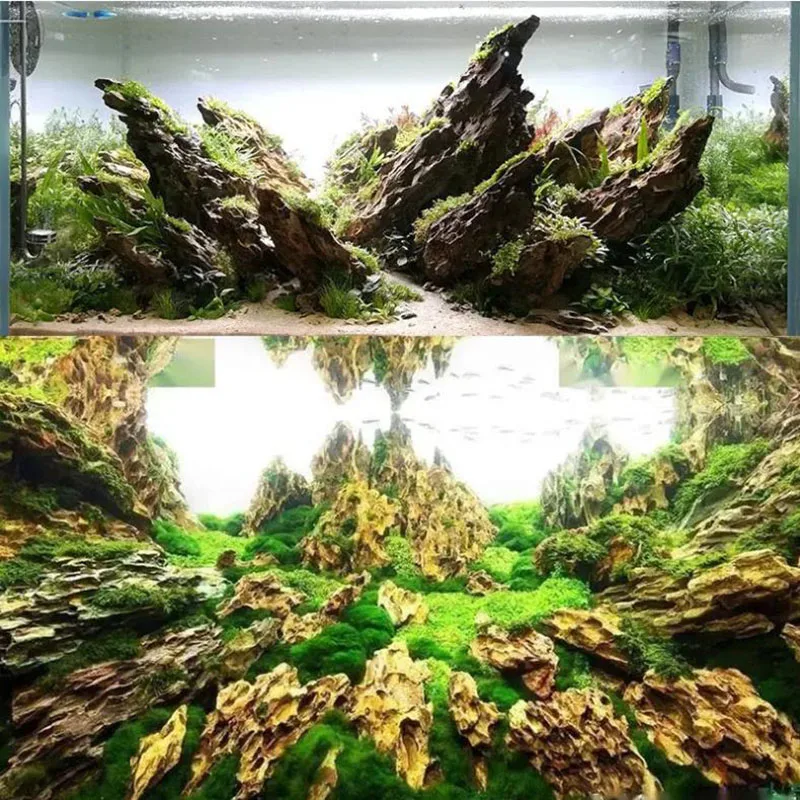 250g 500g 1000g Natuurlijke Aq - Aquasoil Substrate recensie en prijs