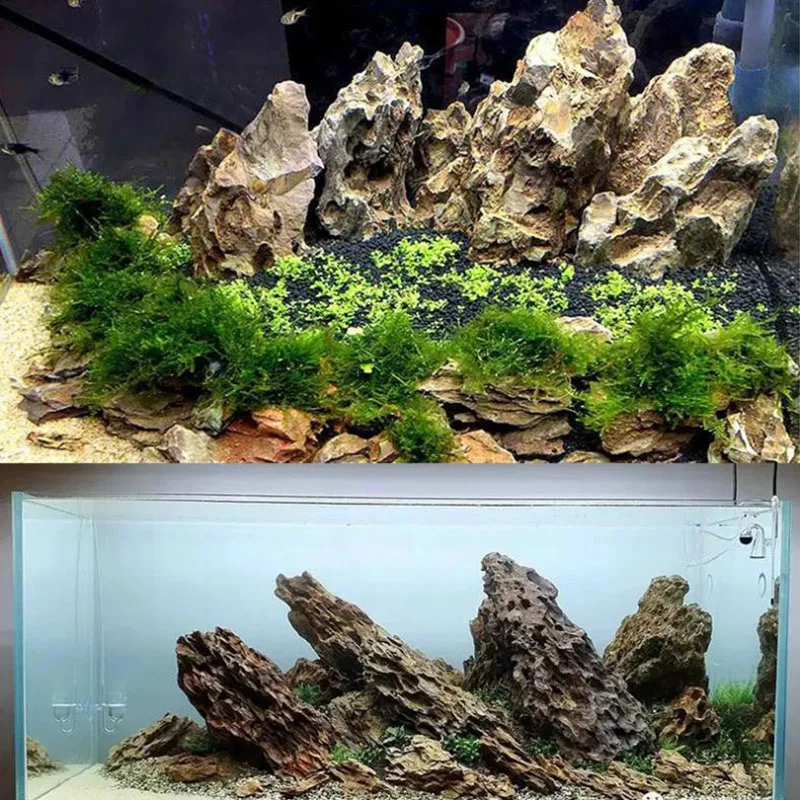 250g 500g 1000g Natuurlijke Aq - Aquasoil Substrate recensie en prijs