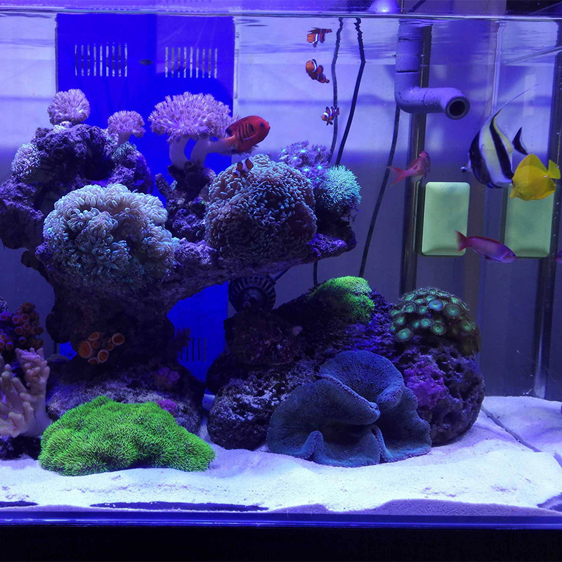 WAJABABY Wit aquariumsand - He - Aquasoil Substrate recensie en prijs