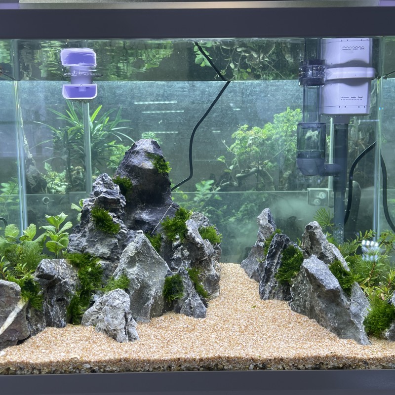 Natuurlijke decoratieve draken - Aquasoil Substrate recensie en prijs