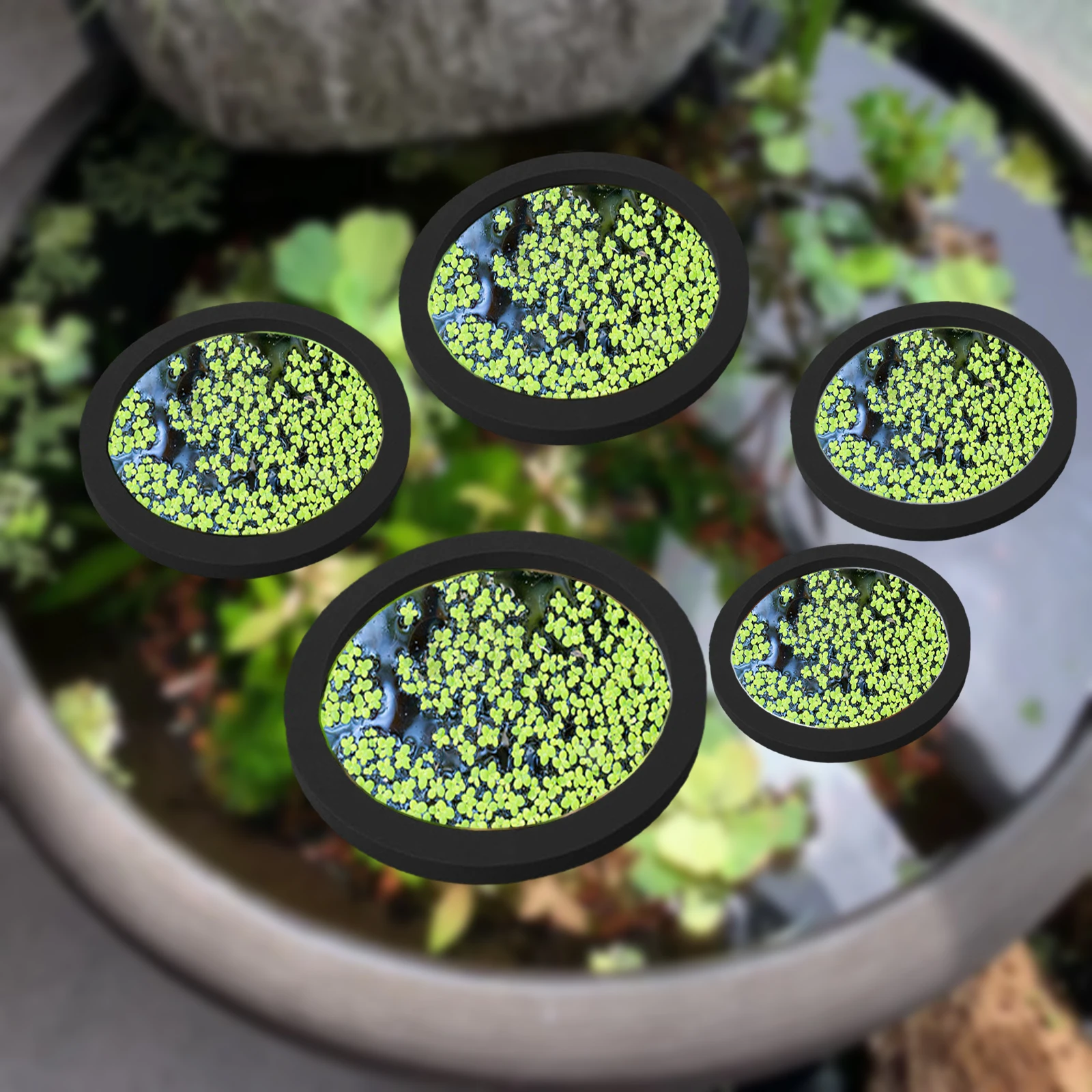 5 stks EVA Vis Voeden Ring Aqu - Planted Aquarium With Fish recensie en prijs