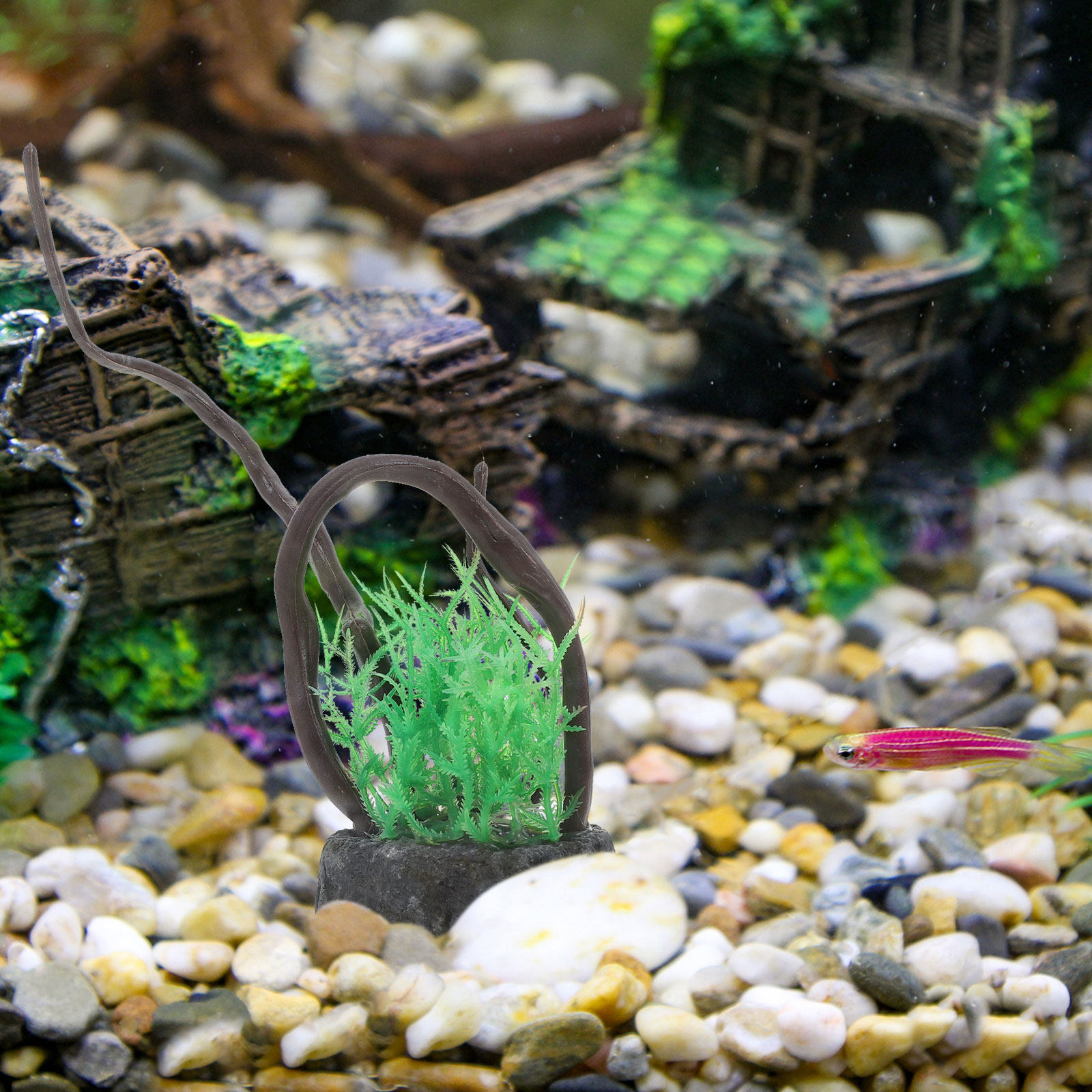 Kunstmatige aquariumdriftwoodw - Planted Aquarium With Driftwood recensie en prijs