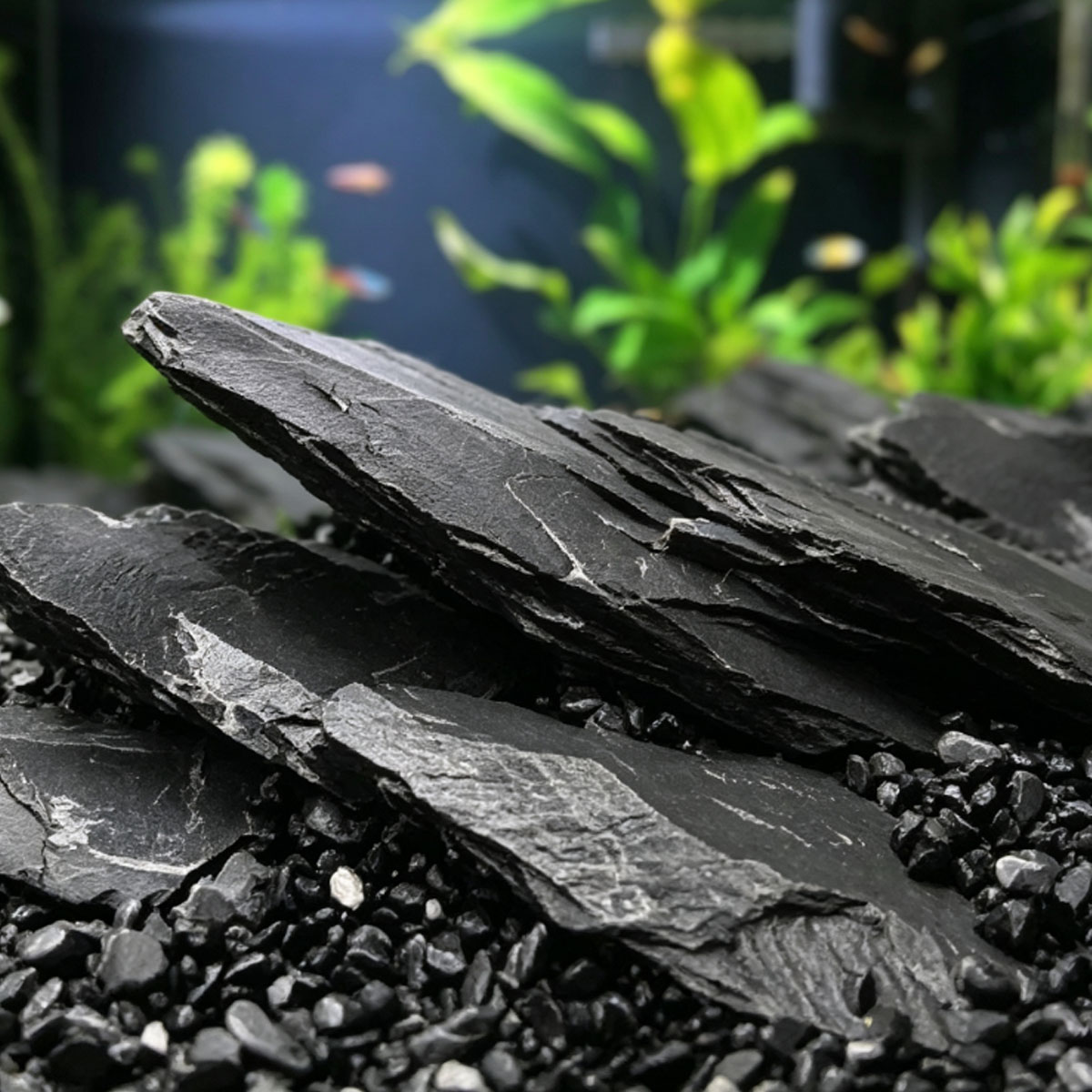 800g 5-10cm zwarte leisteen –  - Aquasoil Substrate recensie en prijs