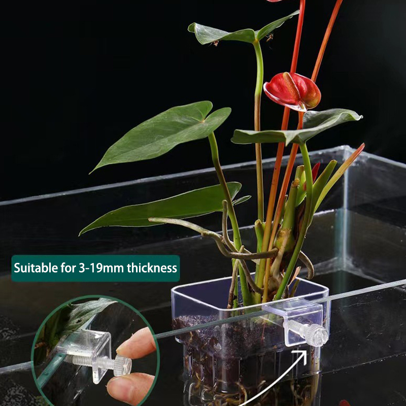 Multifunctionele Vis Aquarium  - Planted Aquarium With Fish recensie en prijs